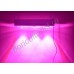 Тепличный фито светильник с мощными линзованными светодиодами "Тайгета" 90Вт