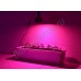 Полноспектровый 10Вт фитосветодиод на радиаторе LED grow light "Мерак"