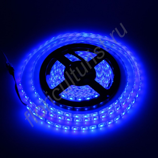 Светодиодная лента синего цвета SMD5050 для использования в биколорных светильниках