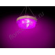 Мощный LED светильник для гроубоксов и теплиц "Хедус" 200 Вт, 24.000 lux